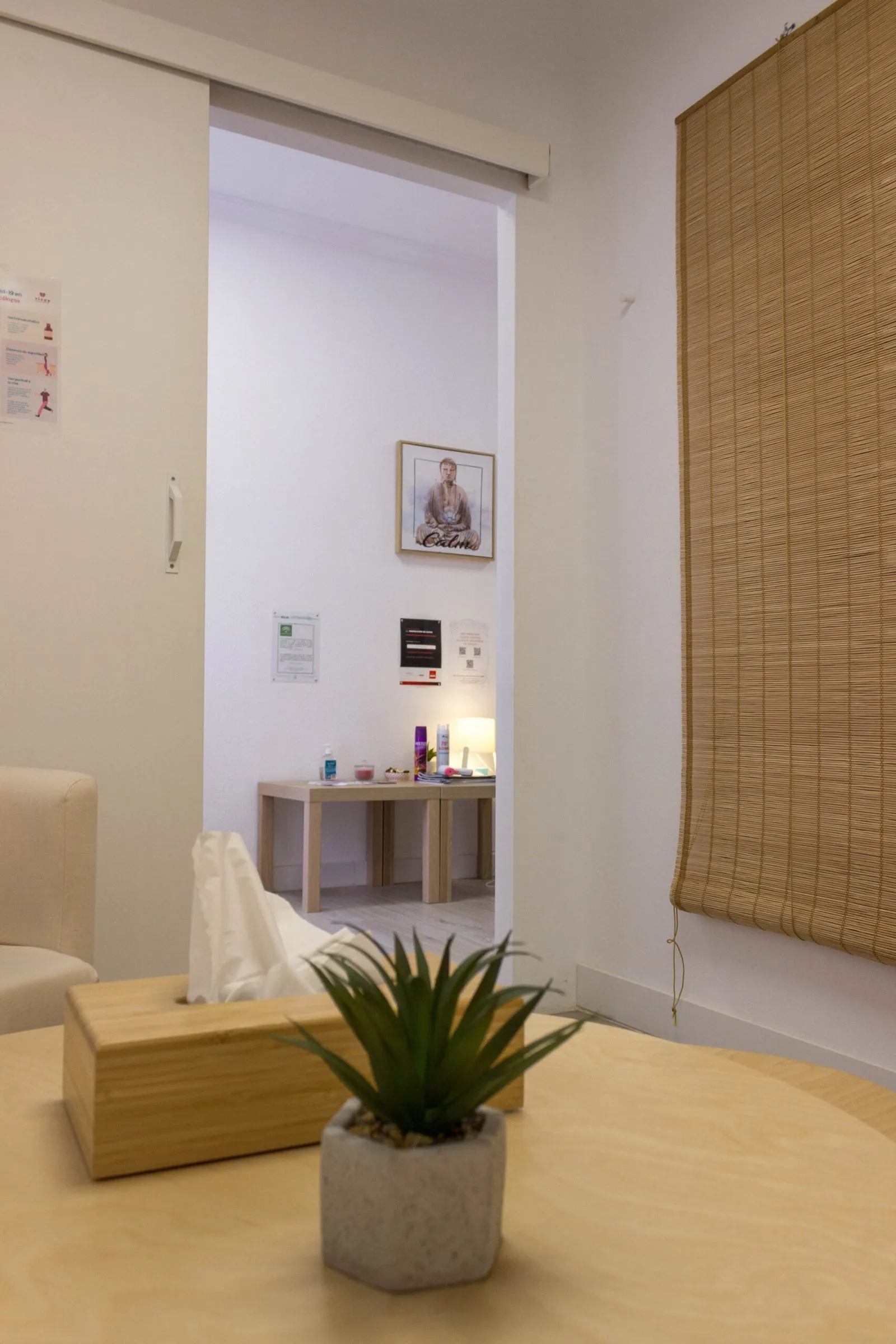 Mesa con una planta y una caja de pañuelos, y al fondo la puerta abierta a otra sala